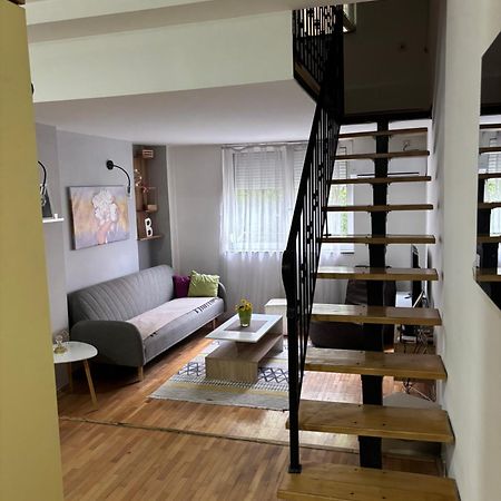 Mia'S Duplex Apartment 斯科普里 外观 照片