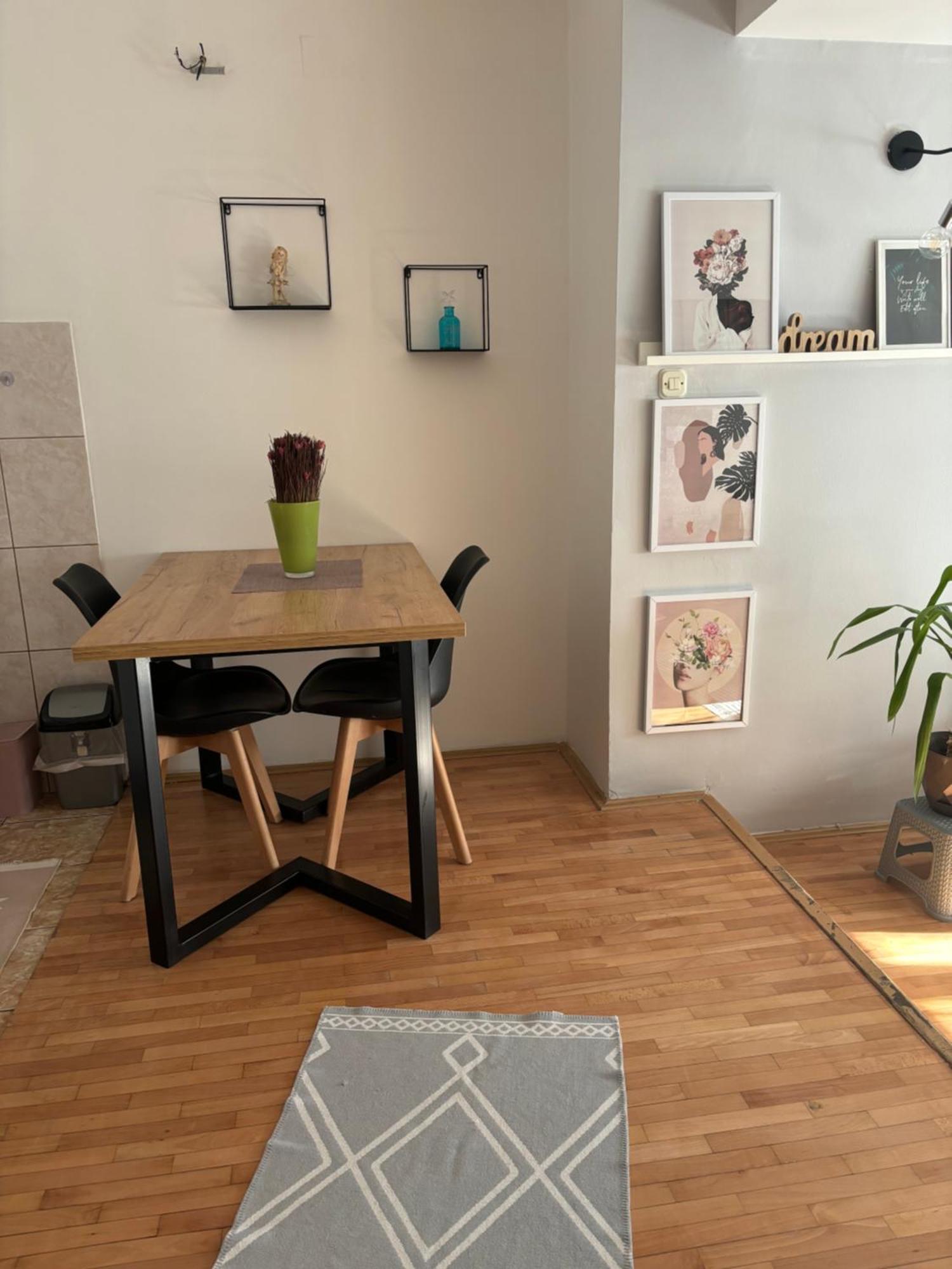 Mia'S Duplex Apartment 斯科普里 外观 照片