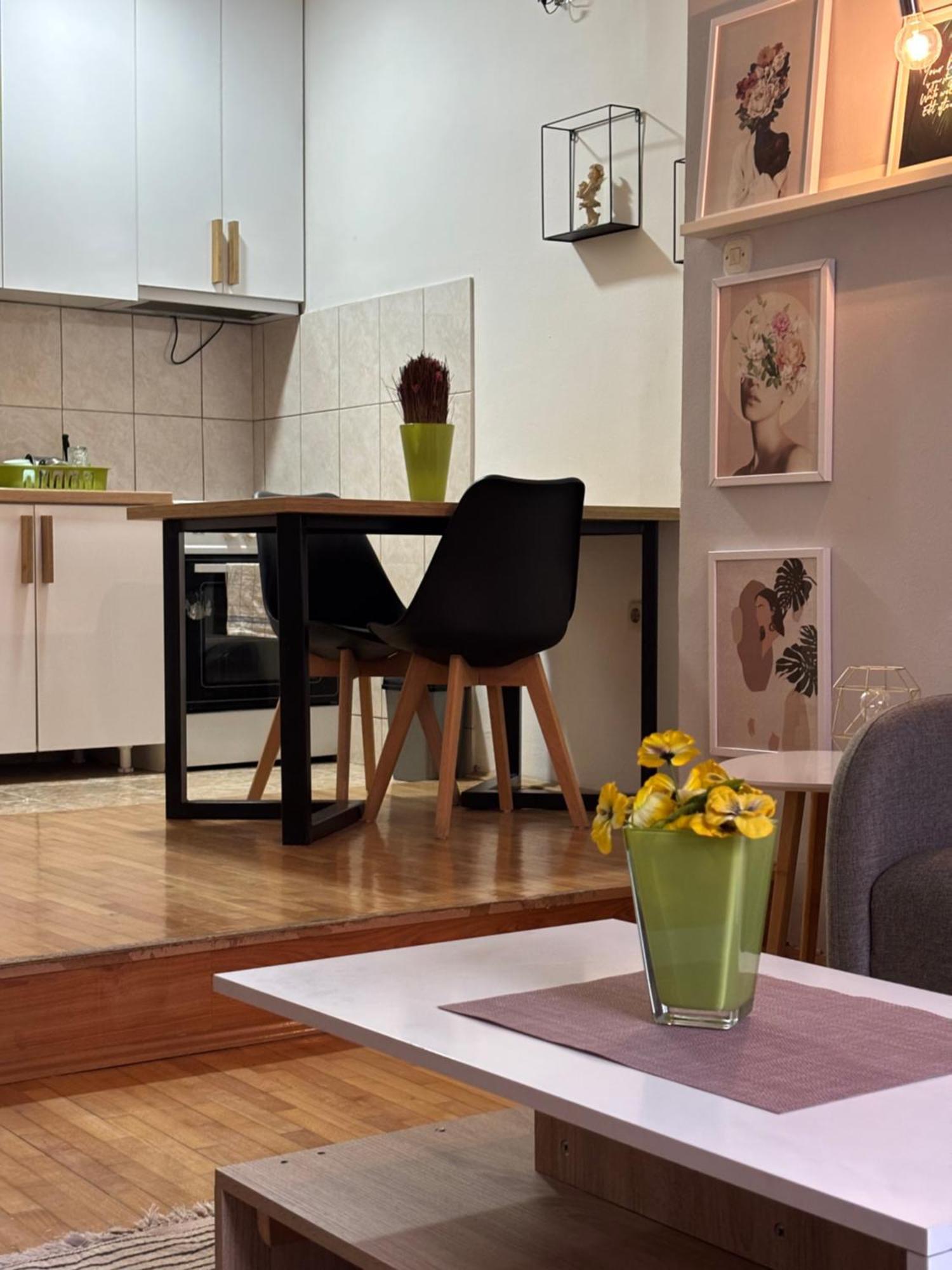 Mia'S Duplex Apartment 斯科普里 外观 照片