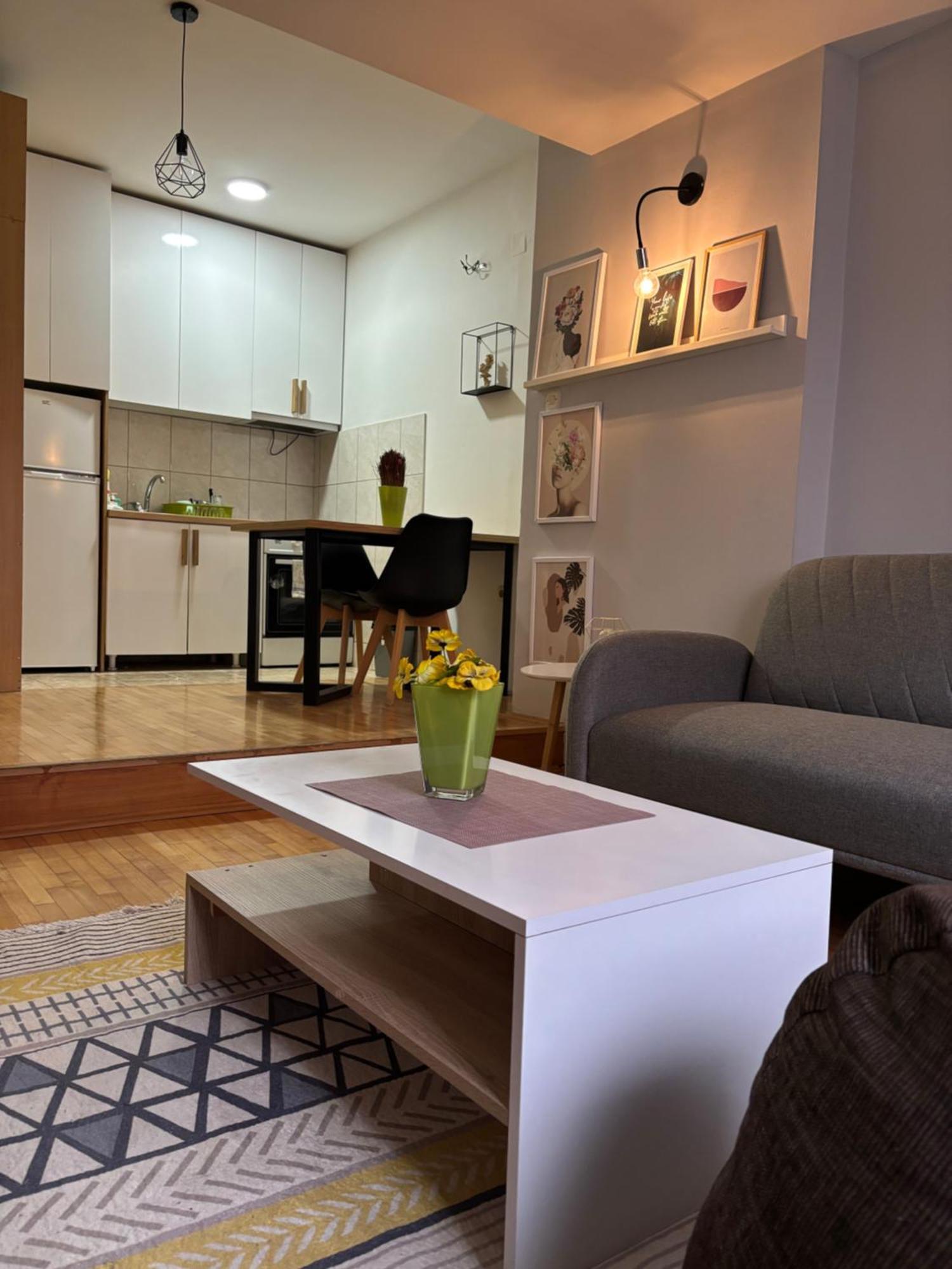 Mia'S Duplex Apartment 斯科普里 外观 照片