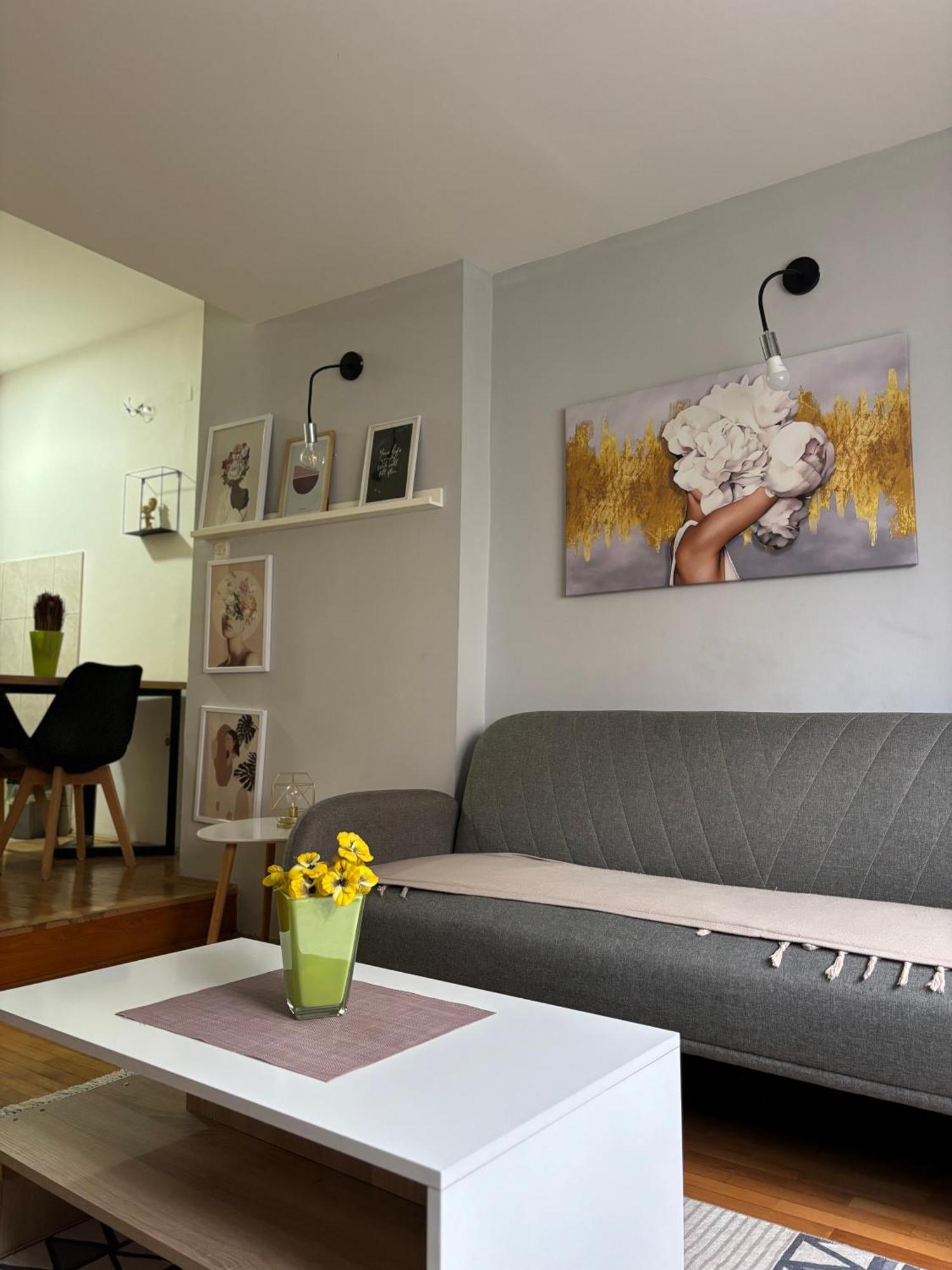 Mia'S Duplex Apartment 斯科普里 外观 照片